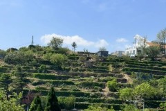 曼联拒绝沙特报价！马奎尔的未来何去何从？深度解析与背后故事